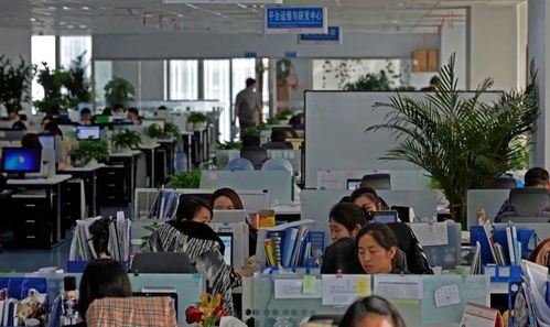 經(jīng)開(kāi)區(qū)重點(diǎn)服務(wù)業(yè)增速持續(xù)加快 以信息技術(shù)咨詢服務(wù)為引擎